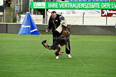 Kalea vom Rabenfelsen