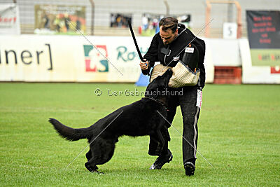 Kanto von der Mooreiche