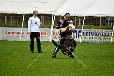 Karamba von der Friesenklippe