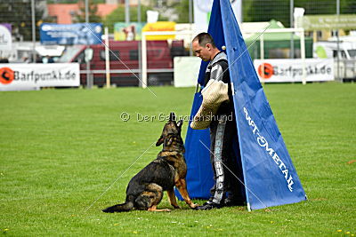 Karamba von der Friesenklippe