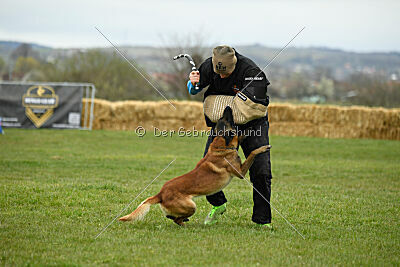 Karlo vom Lausitzeck