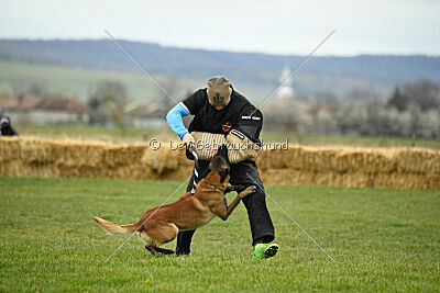 Karlo vom Lausitzeck