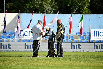 Kelly von Schatzchen JP