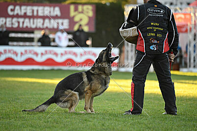 Kendy z Kraje husitu