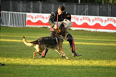 Kendy z Kraje husitu