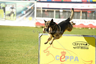 Kendy z Kraje husitu