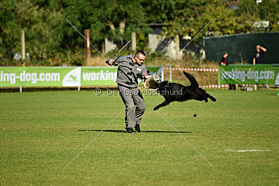 Khan von den Wölfen