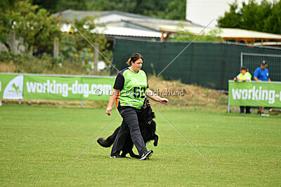 Khan von den Wölfen