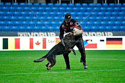 Kieztamarx Daxamite at Brueckwasser