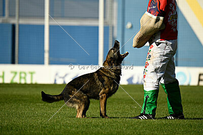 Kieztamarx Daxamite at Brueckwasser