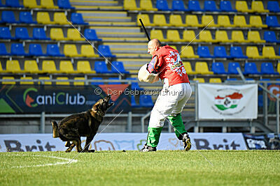 Kieztamarx Daxamite at Brueckwasser