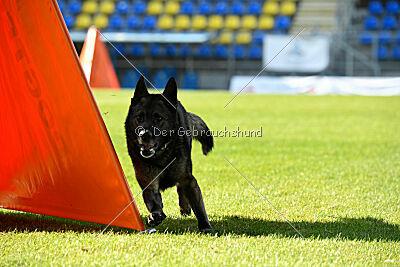 Kieztamarx Daxamite at Brueckwasser