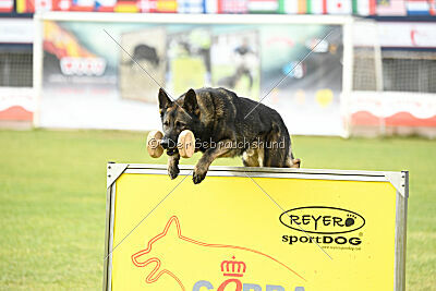 Kieztamarx Daxamite at Brueckwasser