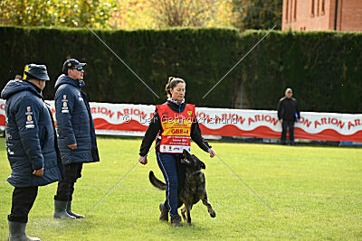 Kieztamarx Daxamite at Brueckwasser