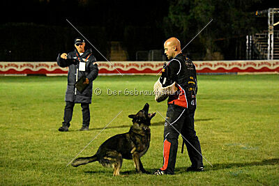 Kieztamarx Daxamite at Brueckwasser