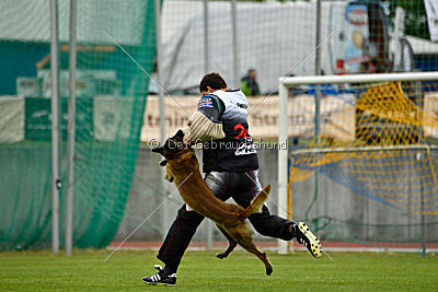 Kim vom Haus der Drachen