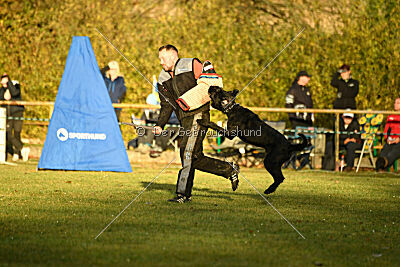 Kimi vom Haus Kunterbunt