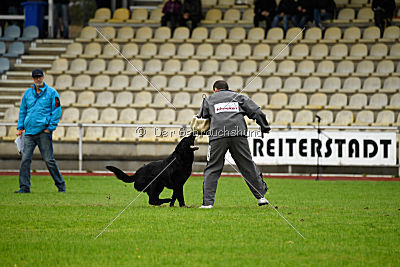 King vom Tim Thaler