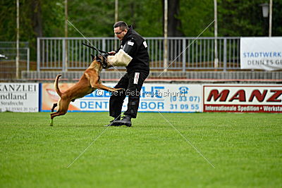 Kiolo vom Falkenstock