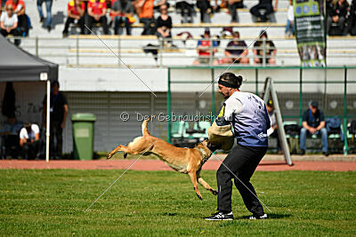 Kirky Veranis K-9 Dog Center