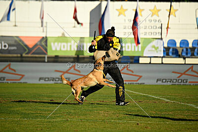 Kleo vom Causa Nostre Letitia