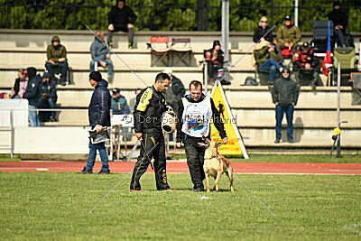 Kleo vom Causa Nostre Letitia