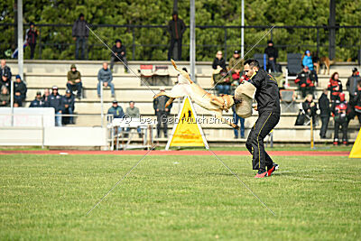 Kleo vom Causa Nostre Letitia