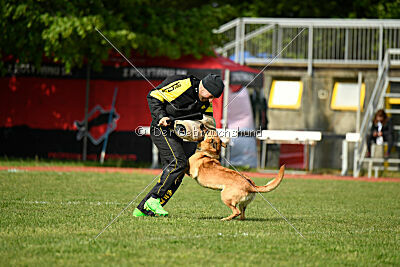 Kleo vom Causa Nostre Letitia