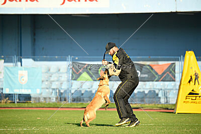 Kleo vom Causa Nostre Letitia