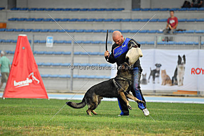 Kliff vom Floyd Haus