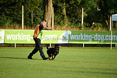 Kliff vom Kriegsdamm