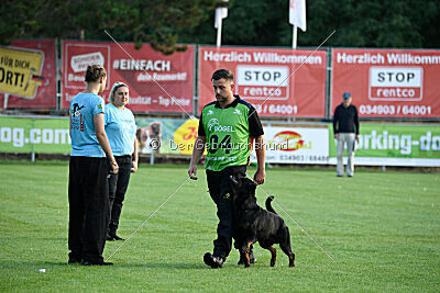 Kliff vom Kriegsdamm