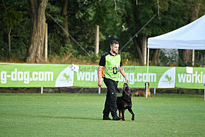 Kliff vom Kriegsdamm