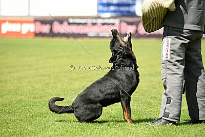 Kliff vom Kriegsdamm