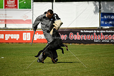 Kliff vom Kriegsdamm