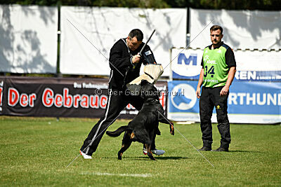 Kliff vom Kriegsdamm