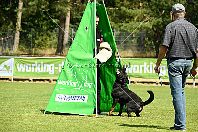 Kliff vom Kriegsdamm