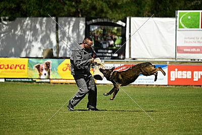 Klyff von der Lobdeburg