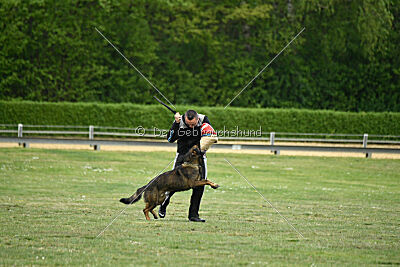 Klyff von der Lobdeburg