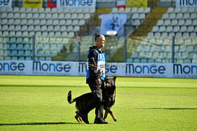 Knox von der Olgameister