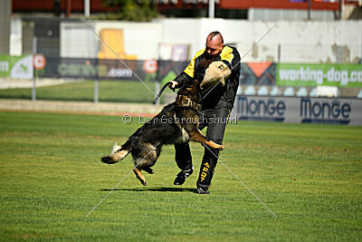 Kochen's Smukke Vega