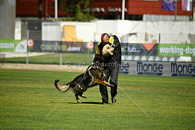 Kochen's Smukke Vega