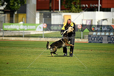 Kochen's Smukke Vega