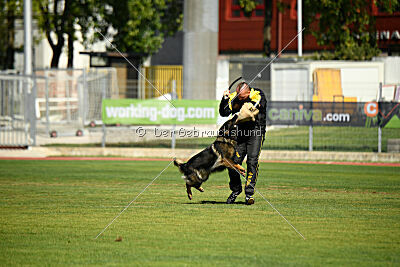 Kochen's Smukke Vega