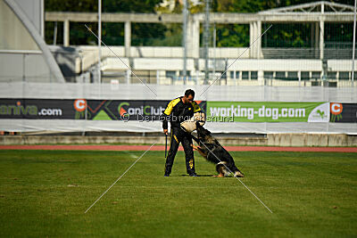 Kochen's Smukke Vega