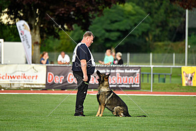 Kody vom Wolfsfriede