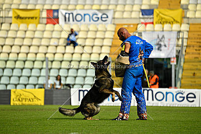 Kody vom Wolfsfriede