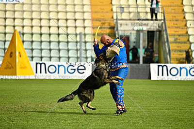 Kody vom Wolfsfriede