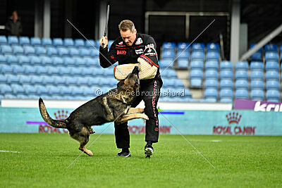 Kongeskoven's Skater