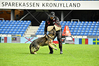 Kongeskoven's Skater